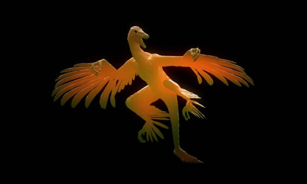 morphed, in a mediocre way