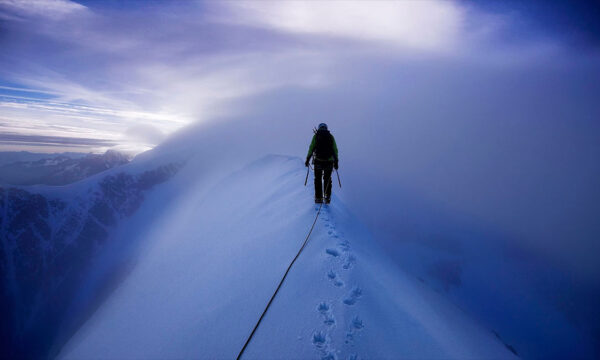 no one’s going to read this, and that’s ok