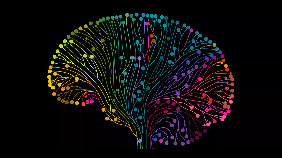 brain neuron connections