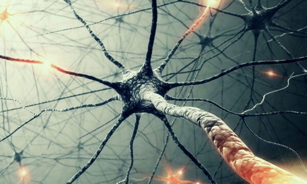 this is your brain on cosmic rays