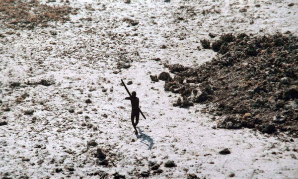 how do you solve an enigma like the sentinelese?