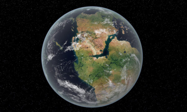 playing devil’s advocate for creationists