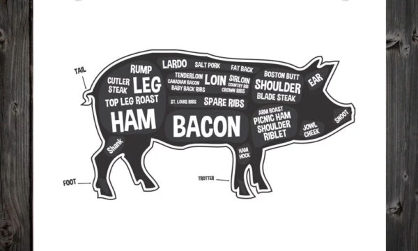 how scientists triggered the internet aporkalypse, and why you can still enjoy your bacon