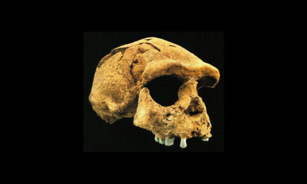 there’s a reason why we call it evidence…