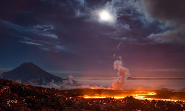 charles darwin and otto hahn’s alien fossils