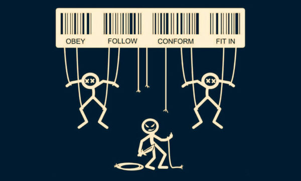 when everybody is an expert