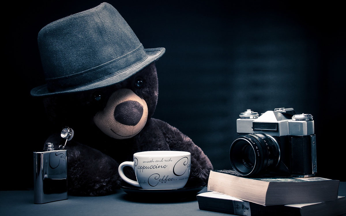 reporter bear