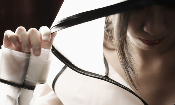 united states of pornography