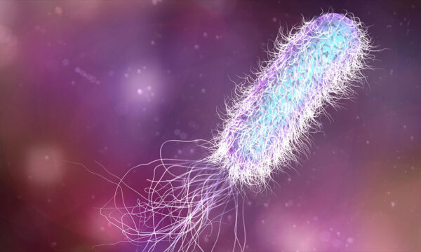 yeah, about those arsenic-absorbing microbes…