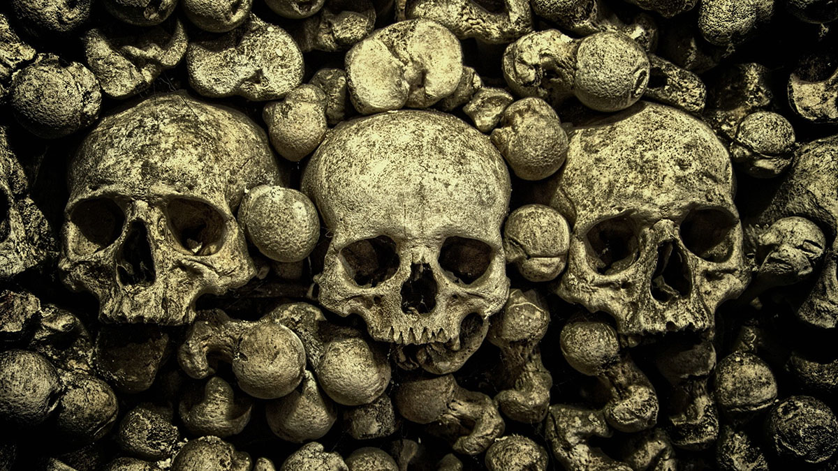 skulls in catacombs