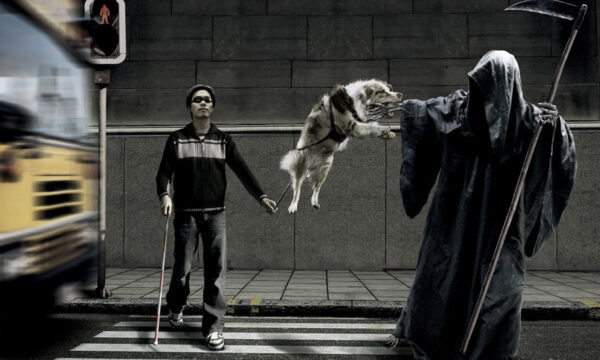 what if we reign in the grim reaper?