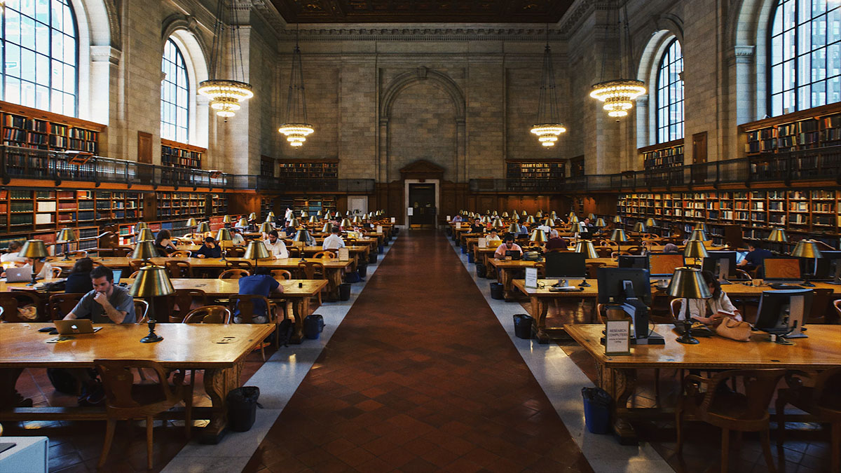 studying in library