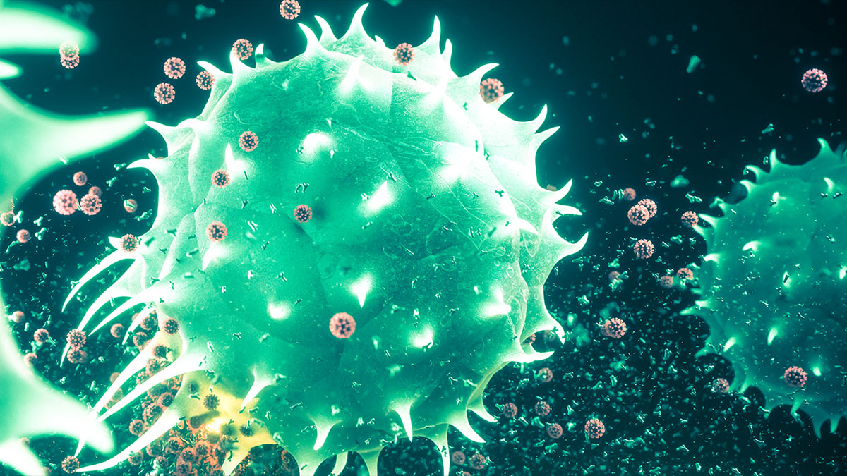 t cells and viruses render