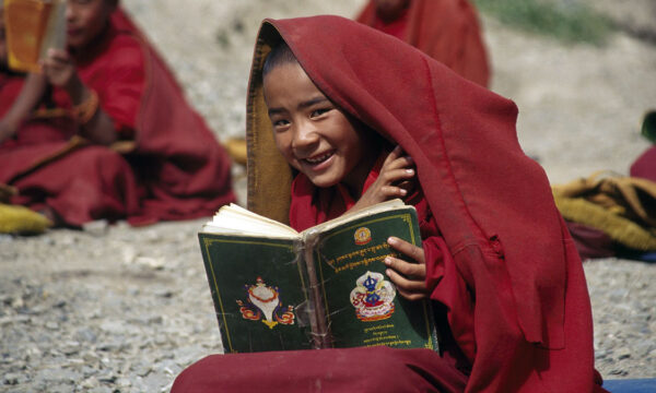 how natural selection still affects humans