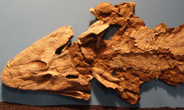 semantic science abuse and you