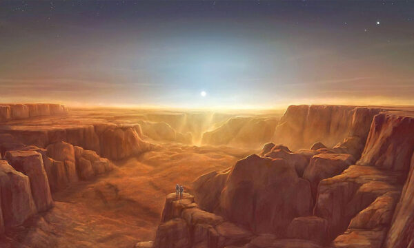 how not to lose your sanity on an alien planet