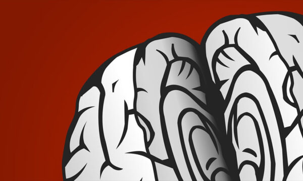 mining biology for a communication model