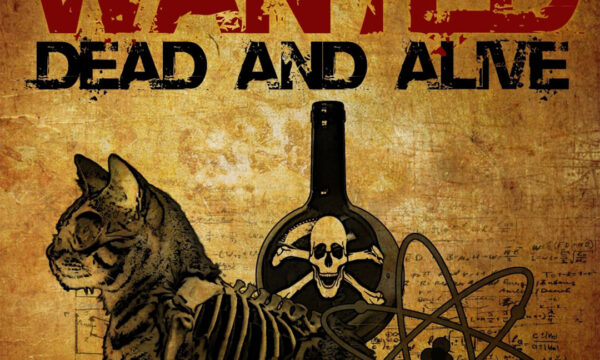 oh quantum causality, we hardly knew ye…