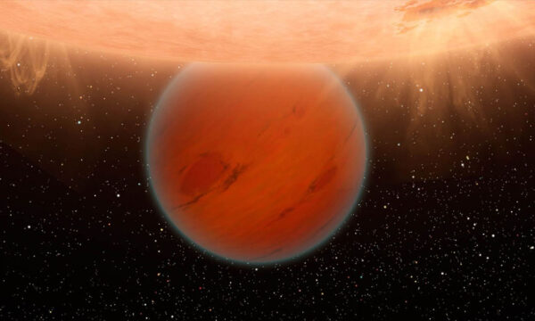 meet the backwards planet