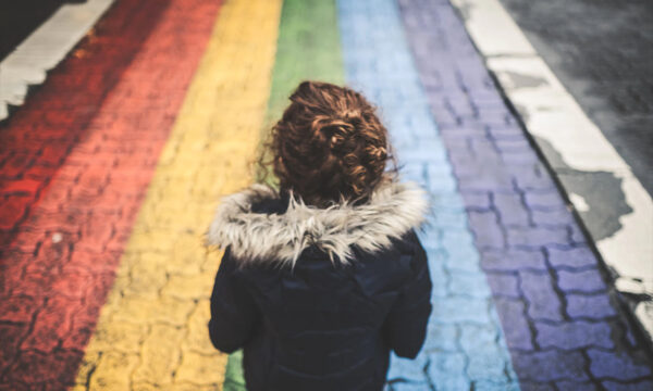 anatomy of a politically painful fraud