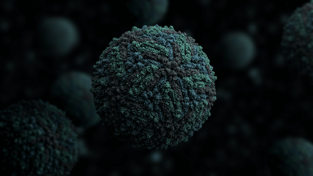 zika 3d virus model